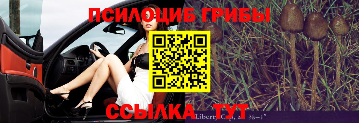 Мценск  Псилоцибиновые грибы ЛСД  Псилоцибиновые грибы GOLDEN TEACHER  Вход с VPN 